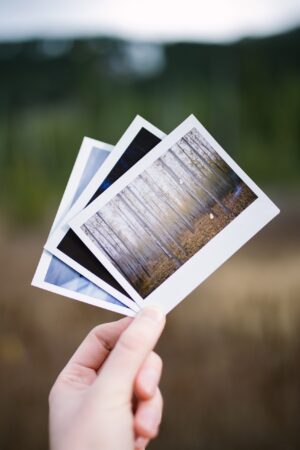 Bilder